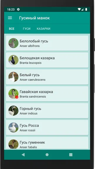 Скриншот 2/4