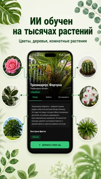 Скриншот 5/5