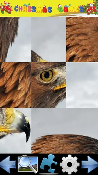 Скриншот 1/5