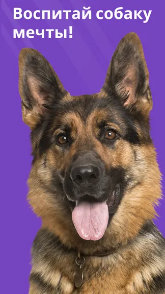 Скриншот 1/8