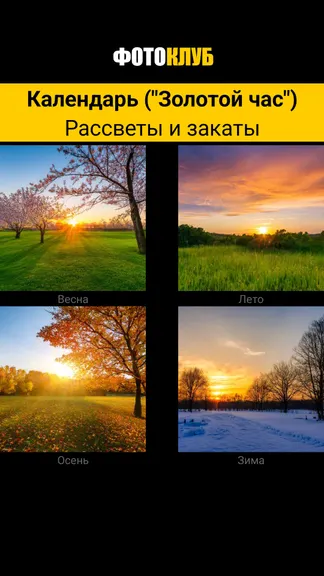 Скриншот 3/4