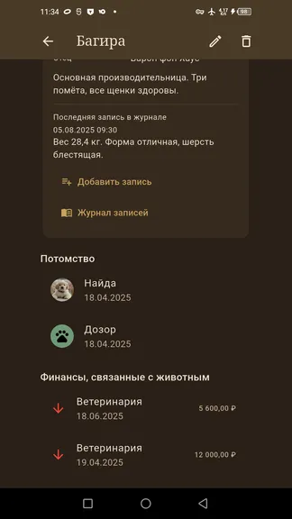 Скриншот 4/10