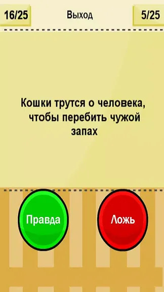 Скриншот 2/4