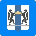 Дневник Новосибирской области логотип