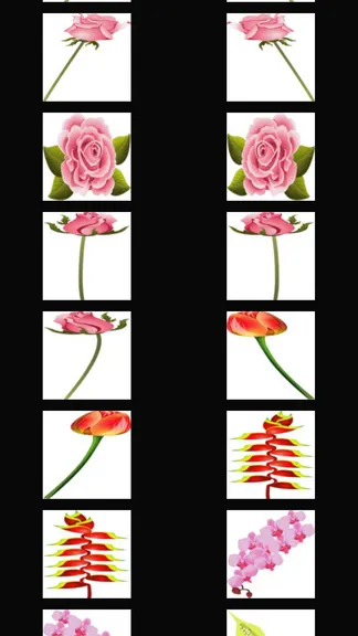 Скриншот 2/4