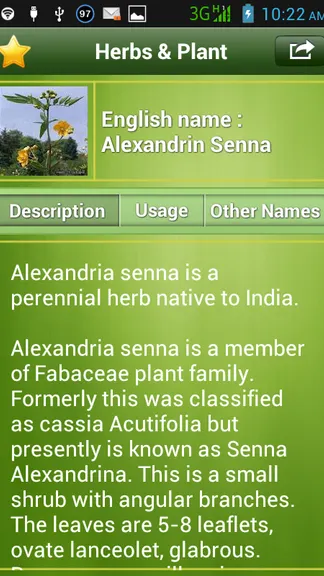 Скриншот 3/3