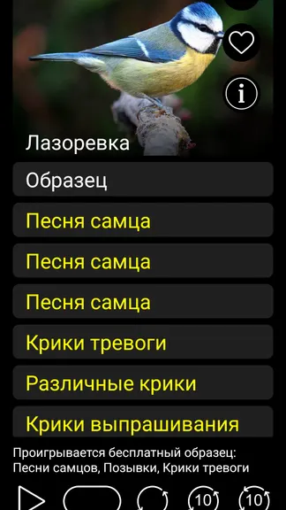 Скриншот 3/8
