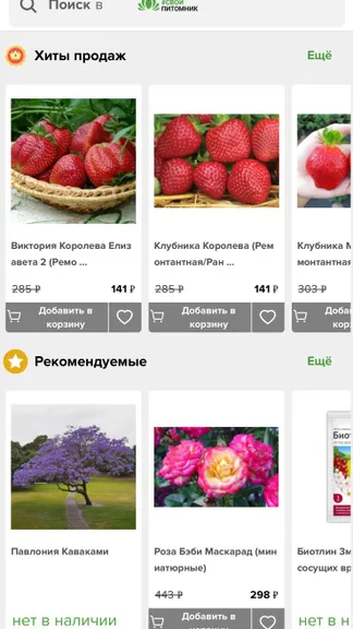 Скриншот 2/2