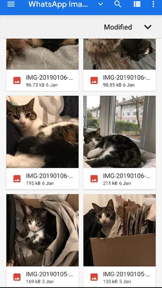 Скриншот 4/5