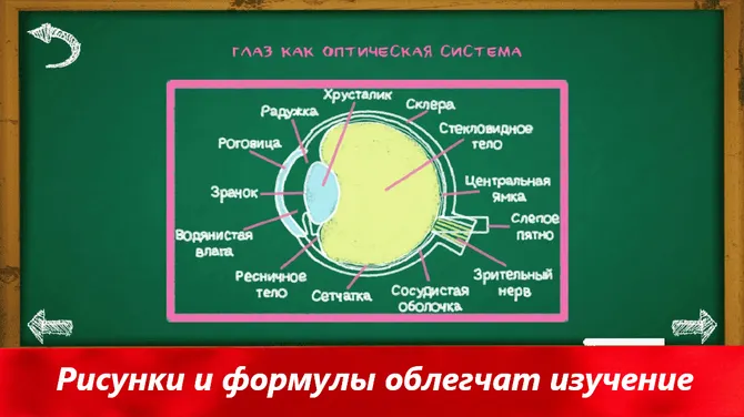 Скриншот 8/8