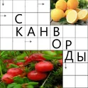 Сканворды логотип
