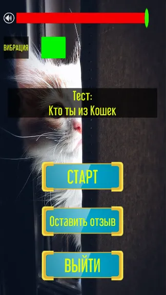 Скриншот 1/7