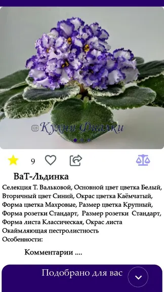 Скриншот 3/3