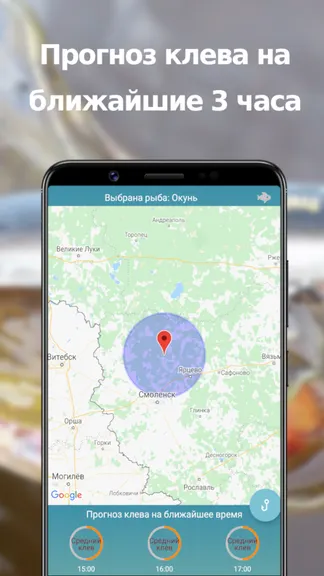 Скриншот 2/3