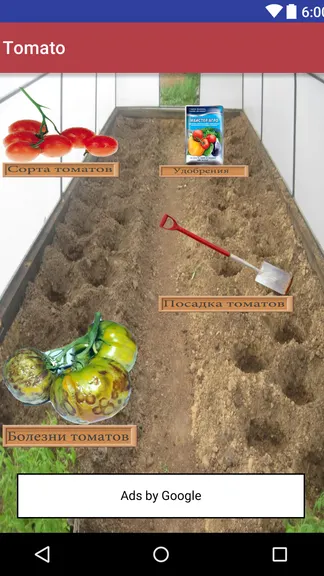 Скриншот 3/3