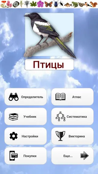 Скриншот 1/8
