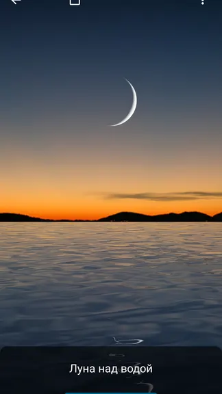 Скриншот 1/10