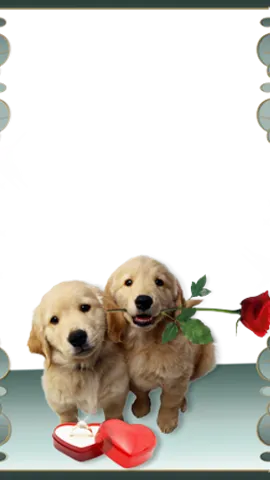 Скриншот 4/8