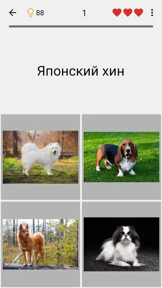 Скриншот 4/5
