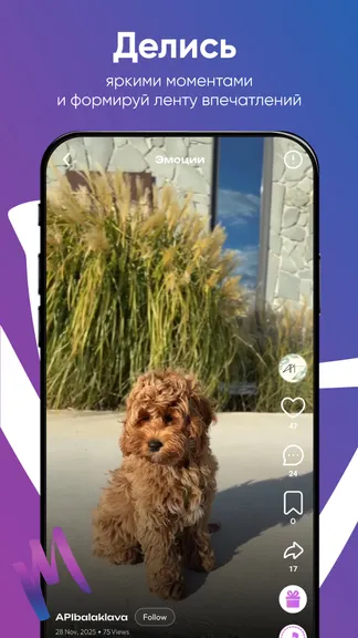 Скриншот 2/6