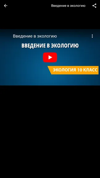 Скриншот 4/4