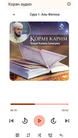 Скриншот 1/2