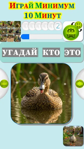 Скриншот 4/4