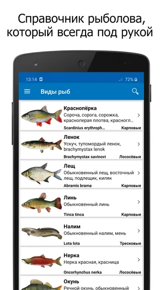 Скриншот 1/5