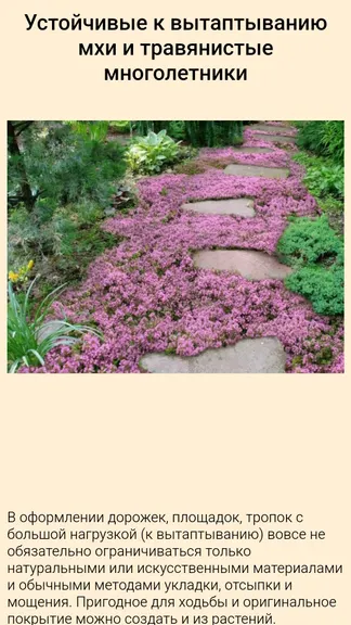 Скриншот 3/4