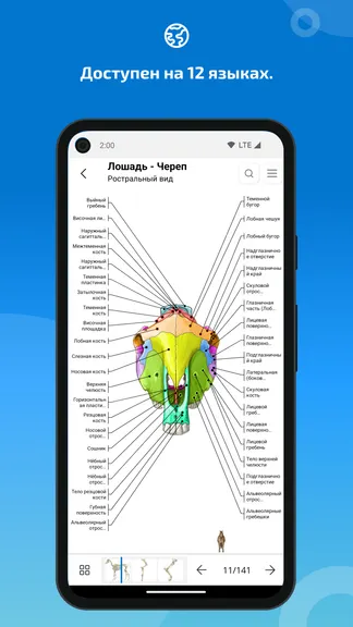 Скриншот 7/8