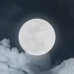 Калькулятор Сна логотип