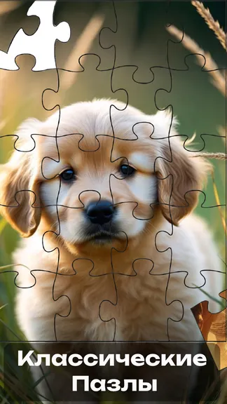 Скриншот 1/7