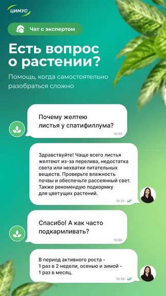 Скриншот 5/6
