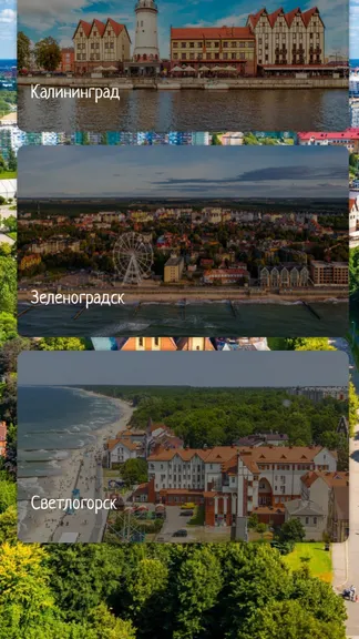 Скриншот 1/4