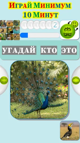 Скриншот 4/4