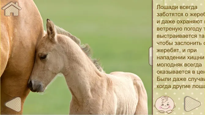 Скриншот 5/8