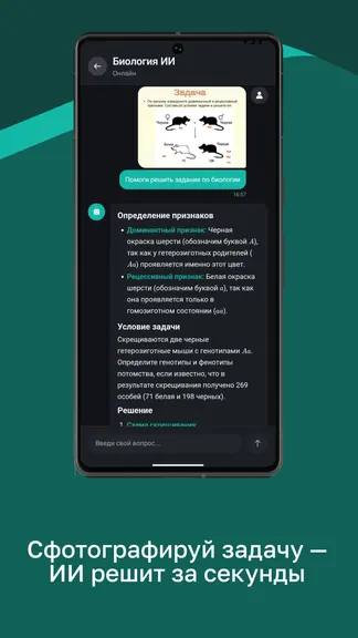 Скриншот 4/8