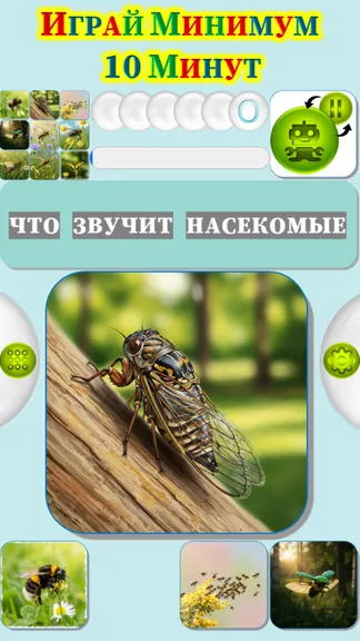 Скриншот 3/4