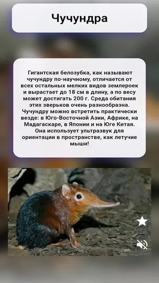 Скриншот 2/3