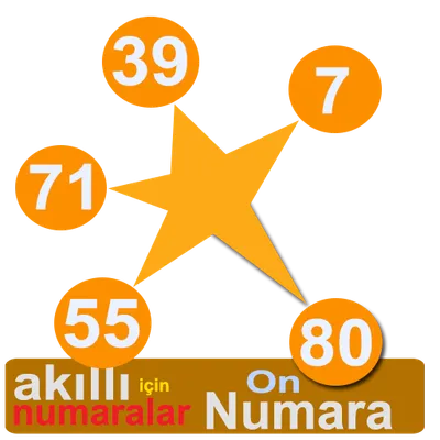 Smart numbers for On Numara(Turkish)