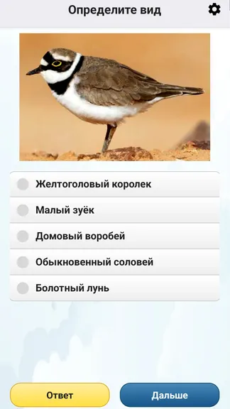 Скриншот 6/8