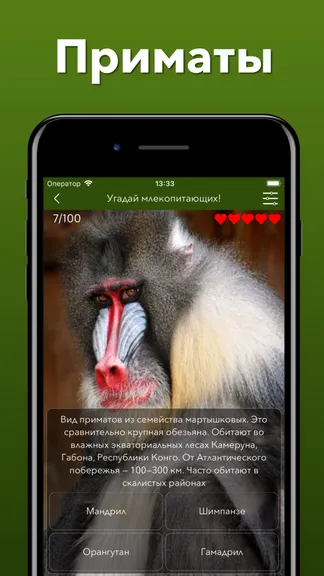 Скриншот 6/10