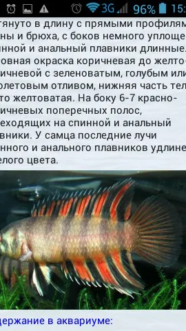 Скриншот 5/8