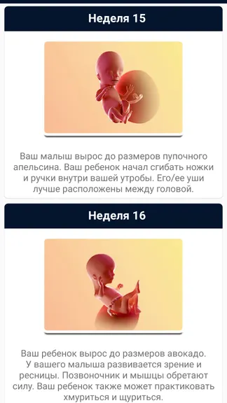 Скриншот 6/9