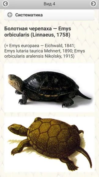 Скриншот 4/8