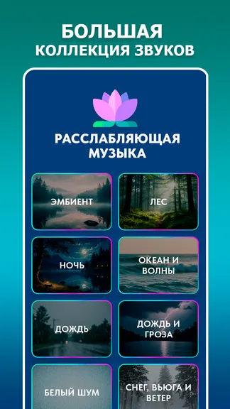 Скриншот 1/5