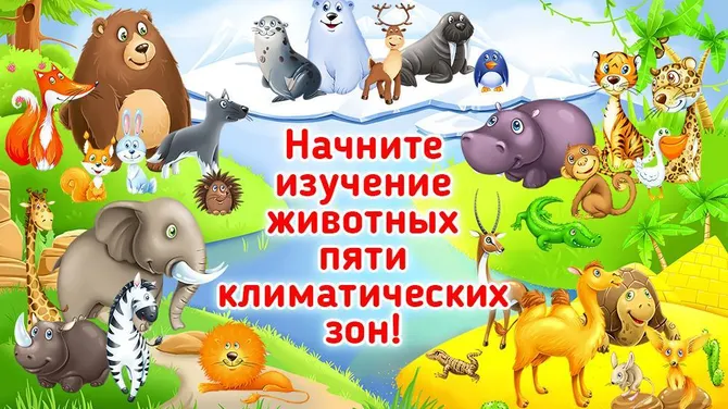 Скриншот 1/4