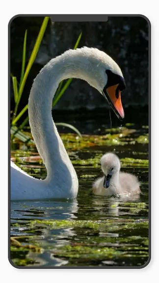 Скриншот 7/10