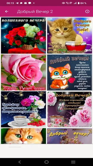 Скриншот 3/3