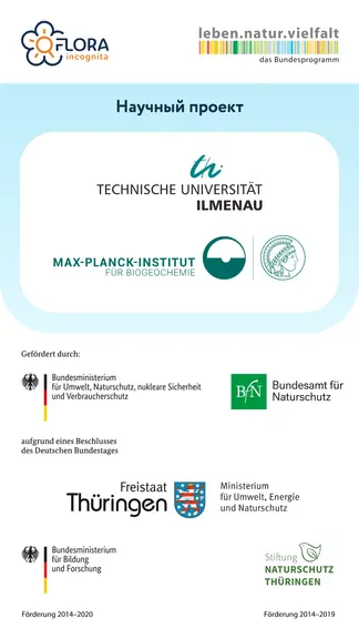 Скриншот 7/8